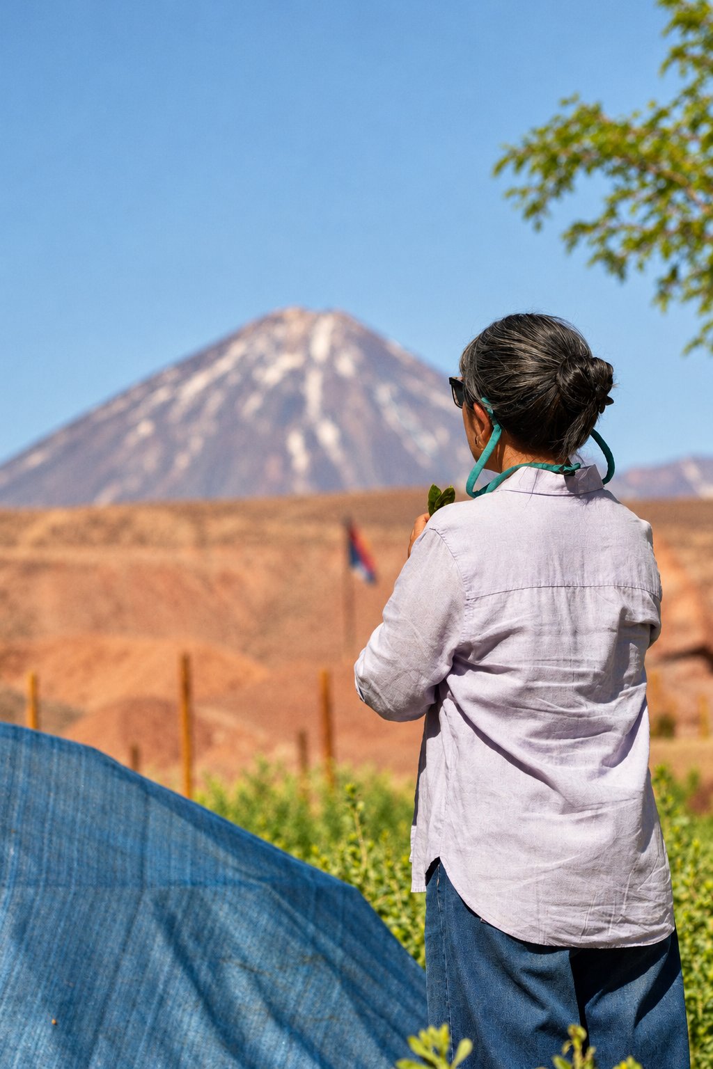 Mey contemplando el volcán Licancabur · Catarpe